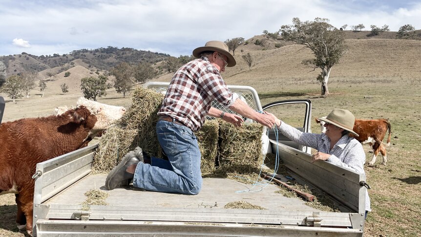 A man and woman unload bales of hay from a truck