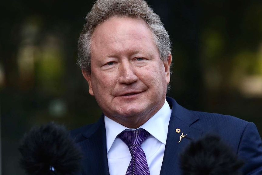 A mid-shot of Andrew Forrest in a suit and tie standing at a dais during a media conference.