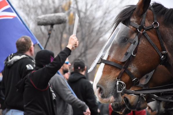 A group of men hold flags and signs, as police horses with shields over their eyes stand nearby.
