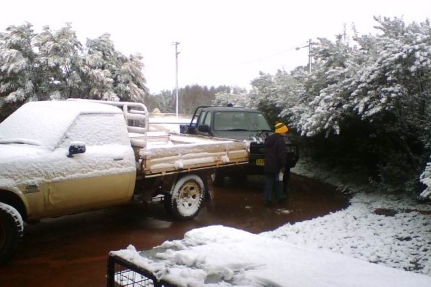 Parked cars covered in snow