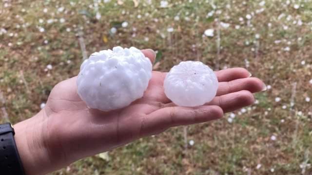 An adult hand holds two very large hail stones in its palm