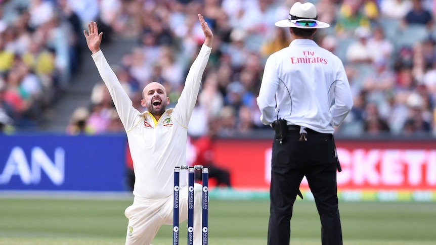 Nathan Lyon on his knees appealing for the wicket of Alastair Cook at Adelaide Oval.