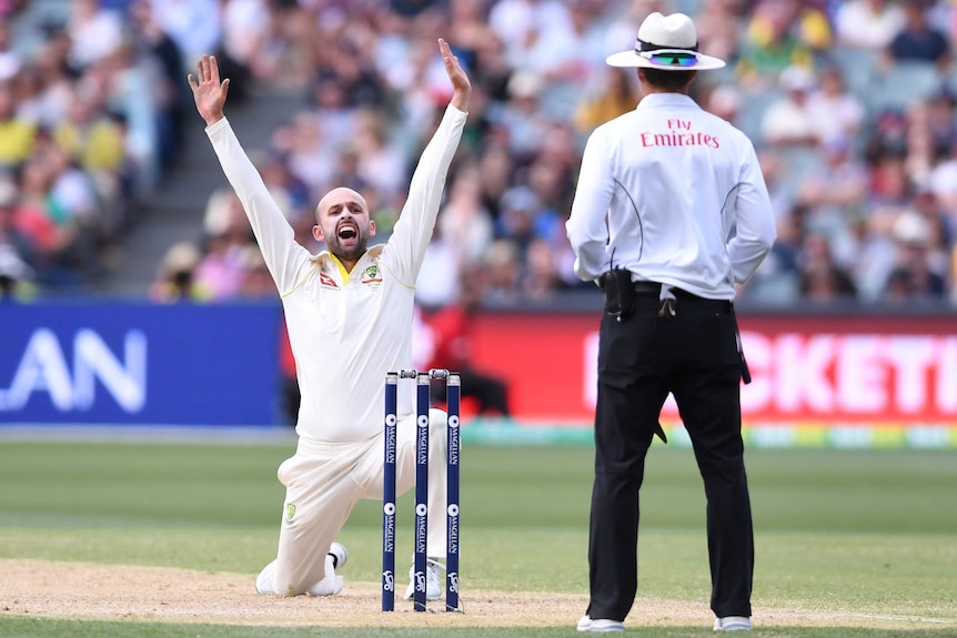 Nathan Lyon on his knees appealing for the wicket of Alastair Cook at Adelaide Oval.