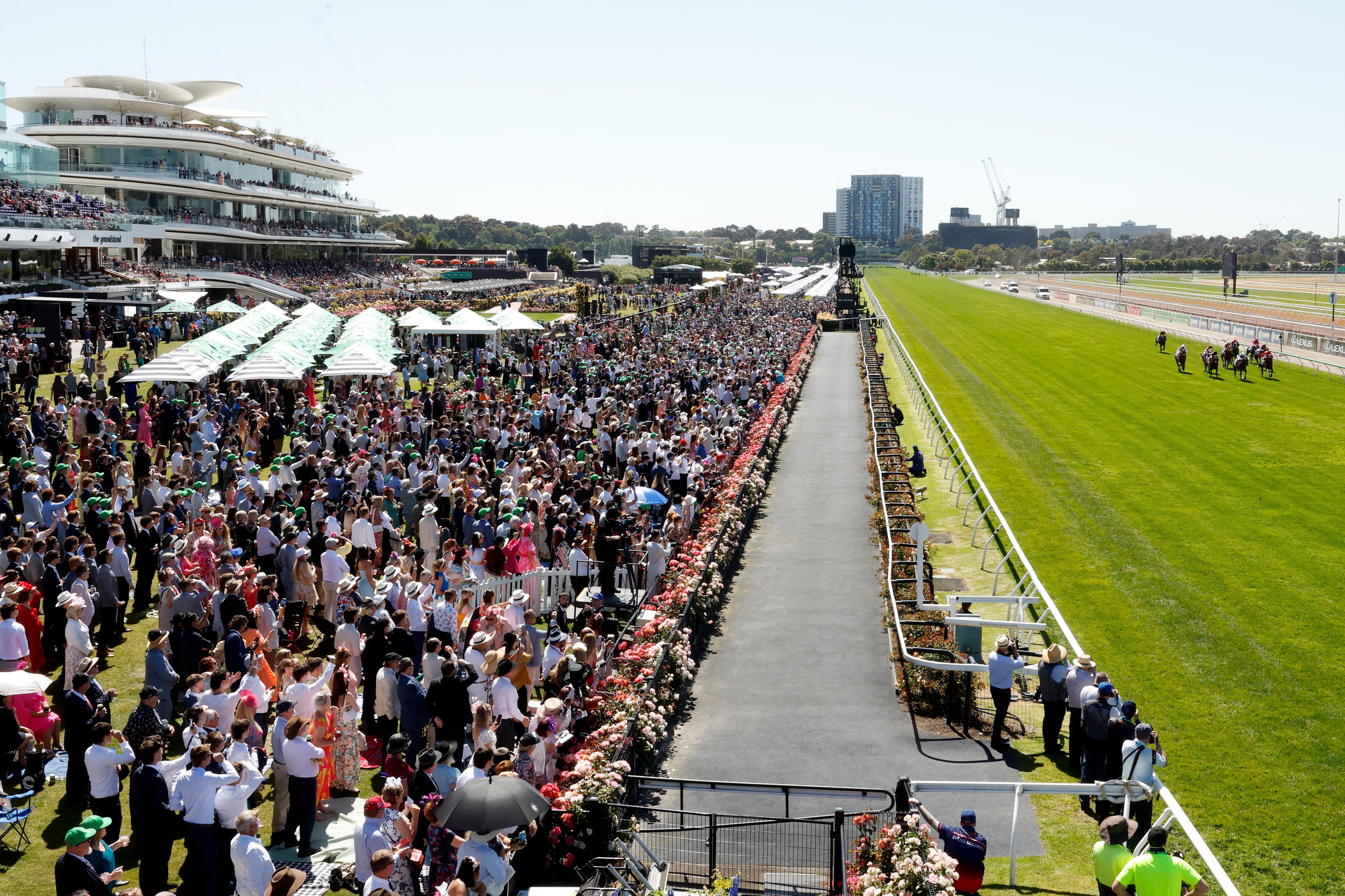 Melbourne Cup 2024 finishing order from first to last