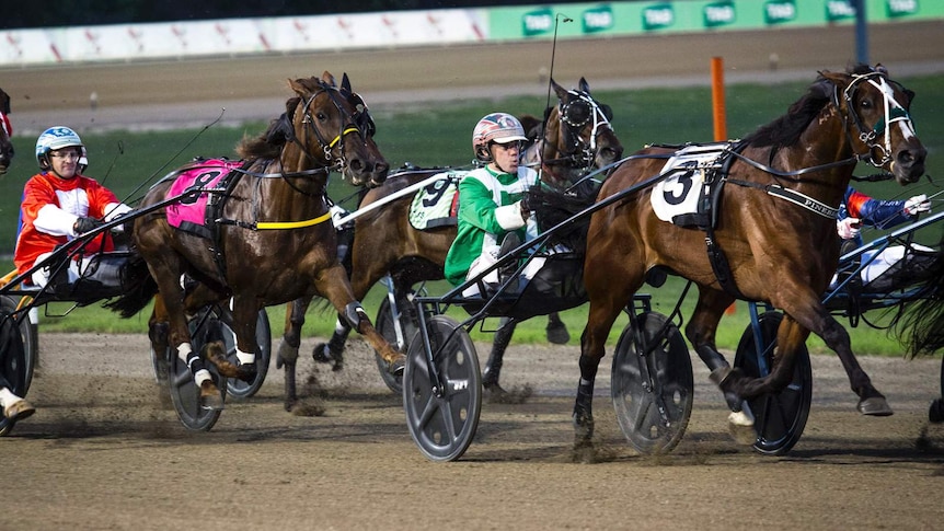 several horses in full-speed dragging carts with sulky drivers