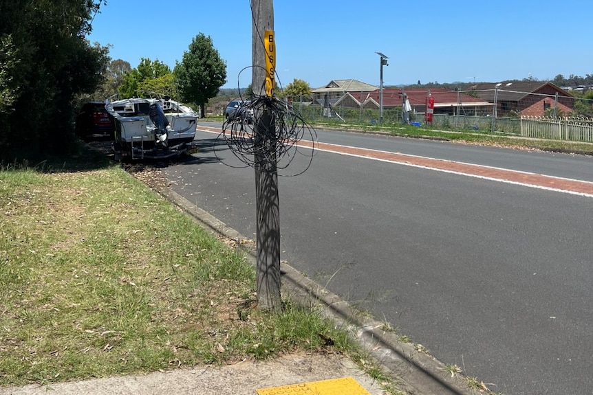 A coil of telegraph cables wrapped against a wooden pole next to a road