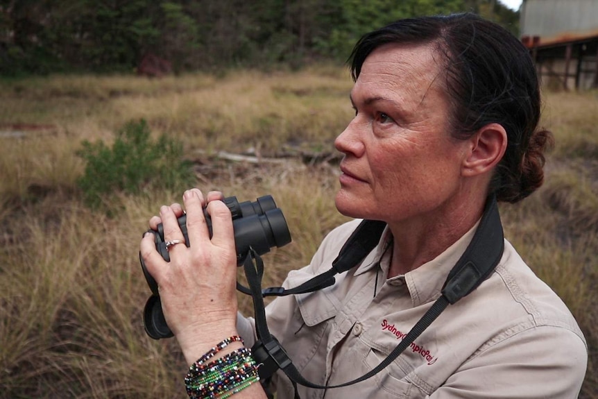 A woman holds binoculars and stands in bushland