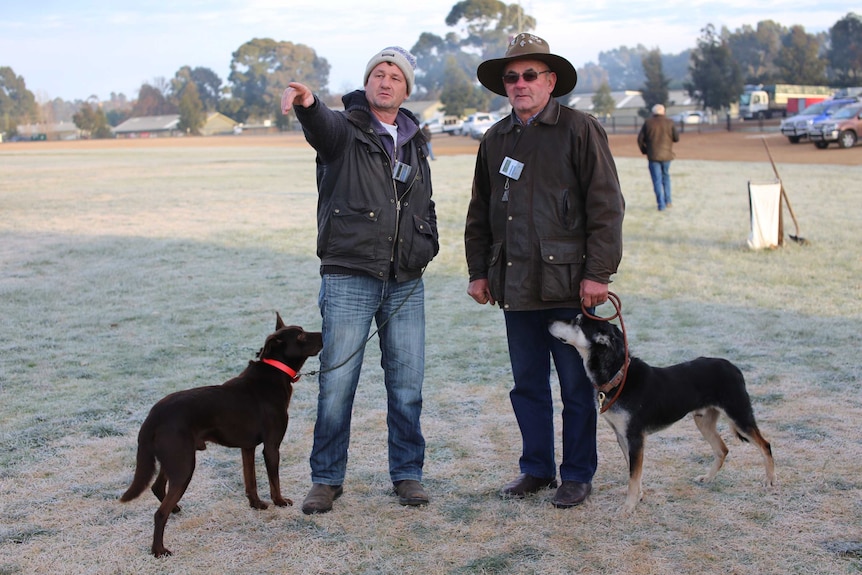 Two men stand with their dogs on a foggy field.