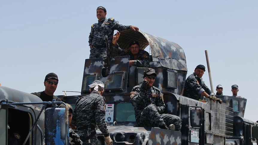 Iraqi troops on the outskirts of Fallujah