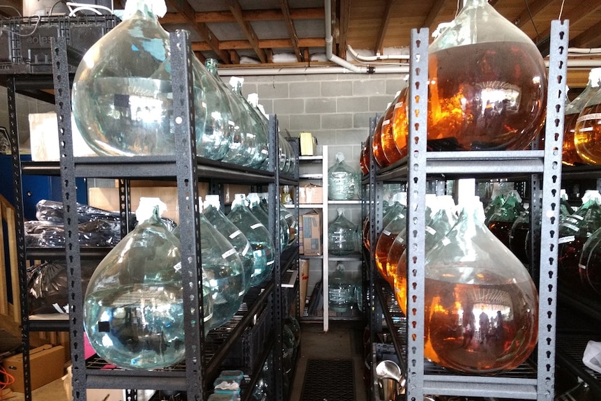 Demijohns of sheep whey vodka and gin maturing at Hartshorn Distillery