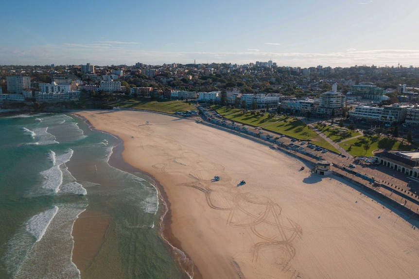 A drone shot of an empty Bondi Beach, covered in tracks left behind by lifeguard buggies