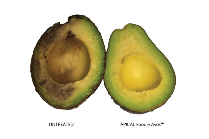 Untreated and treated avocado.