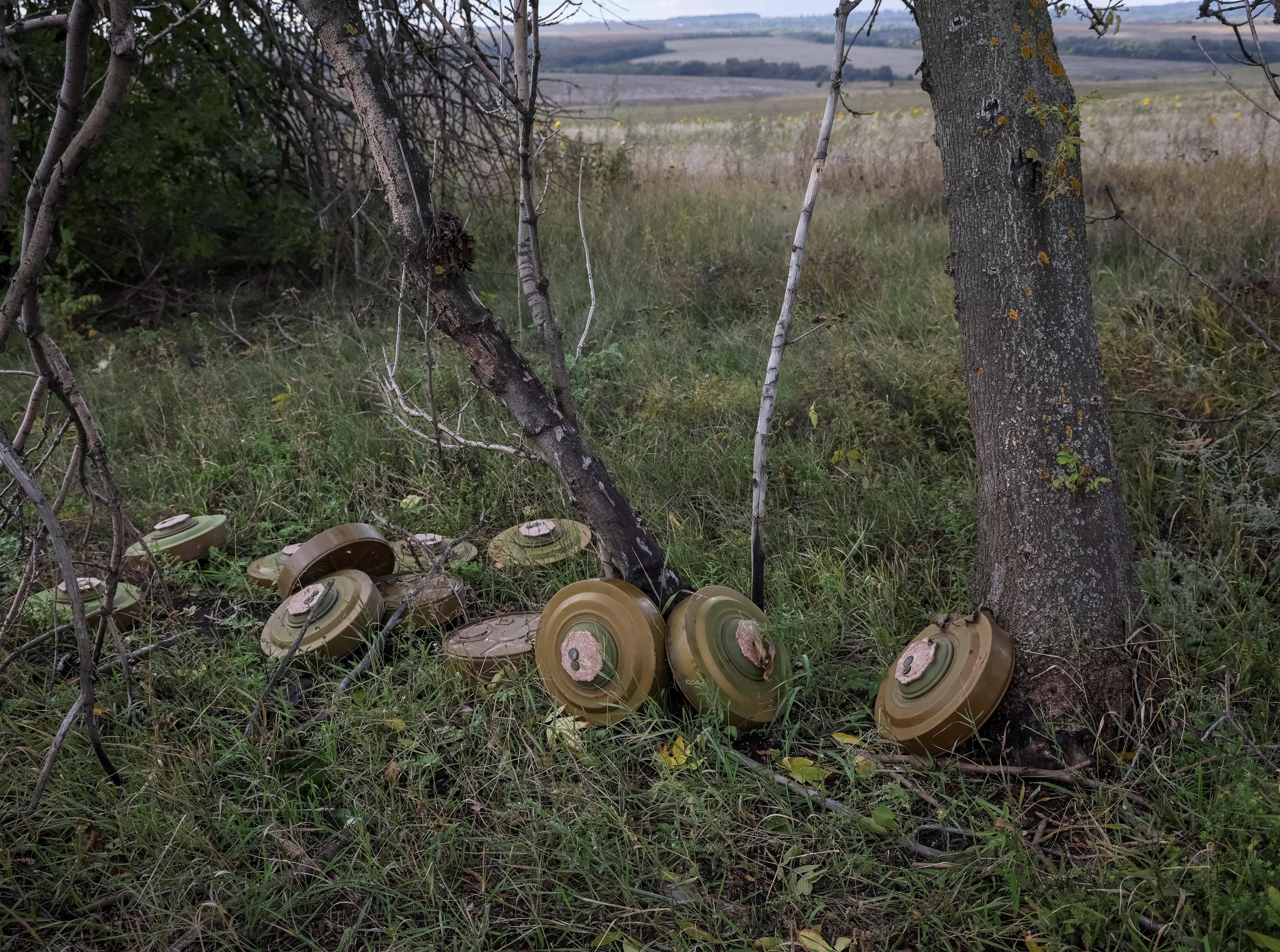 Anti-tank mines lie on the ground near a tree. 