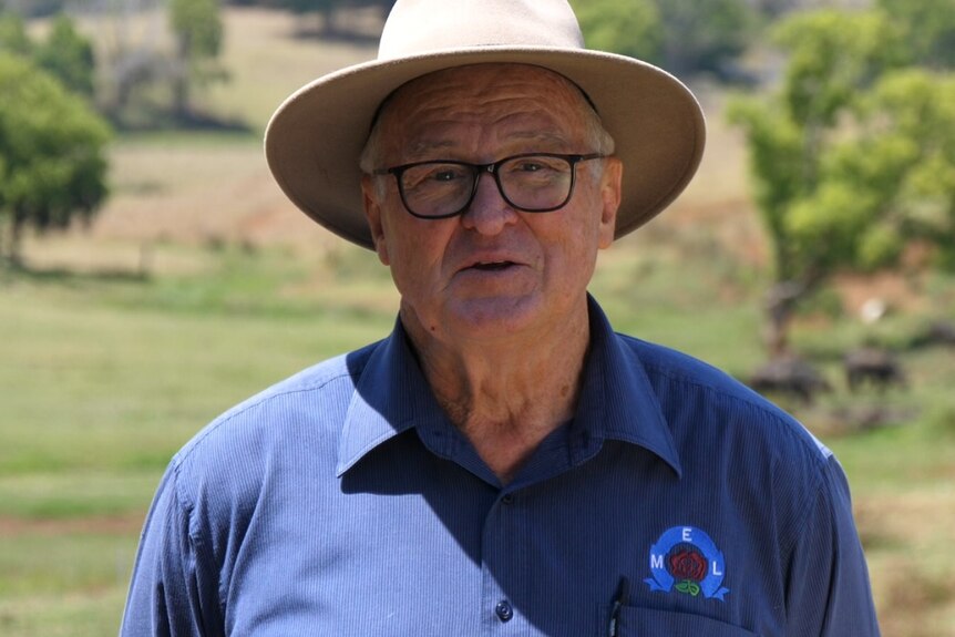 An older man in a hat standing in a paddock