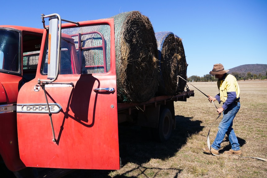 A farmer loads hay onto a red truck