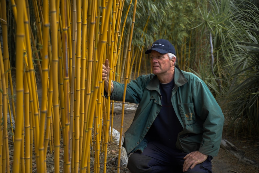 Man with bamboo. 