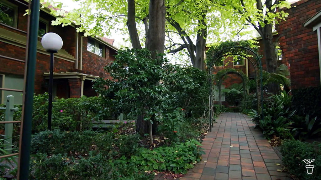 Common Ground Common Ground