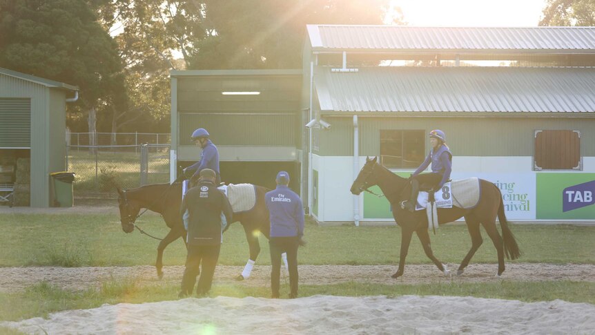 Oceanographer and Qewy at Werribee