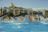Atlantis Marine Park in 1989.