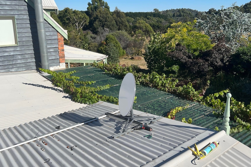 A satellite dish on a tin roof surrounded by trees