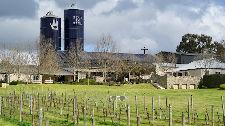 The exterior of a winery with vineyards in the foreground