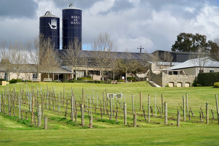 The exterior of a winery with vineyards in the foreground
