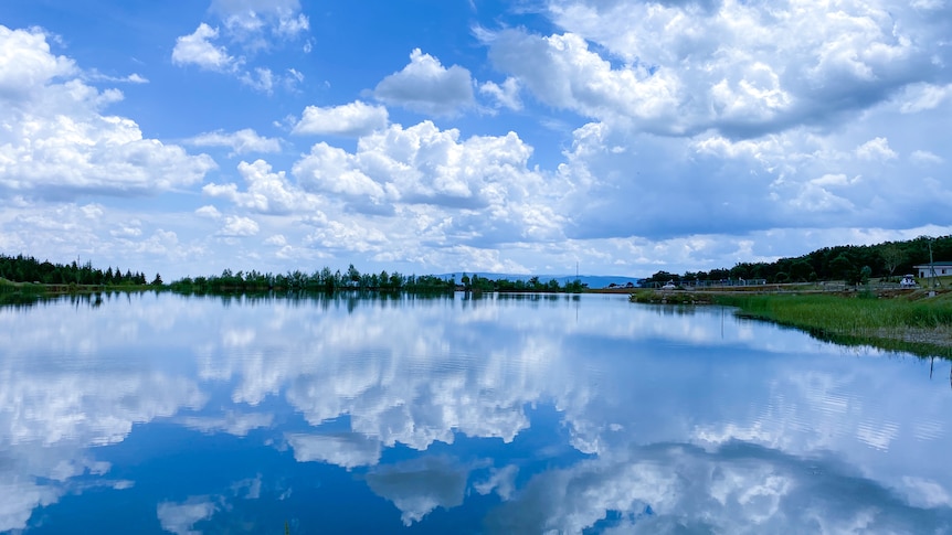 Lake Akşehir was once a biodiversity hotspot.