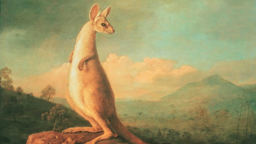 Gallery director Ron Radford says the painting of the kangaroo is significant because it became the symbol for Australia.