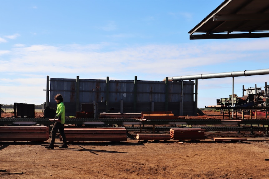 Worker in high vis carrying timber board.