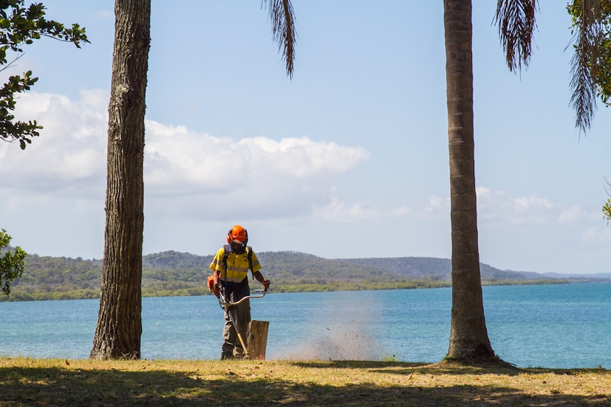 A Green Army worker brush cutting by the water over looking Moreton Bay.
