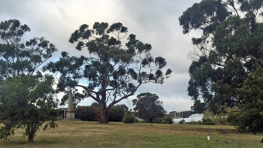 A grassed area behind St Johns Park, Hobart, where people are buried.