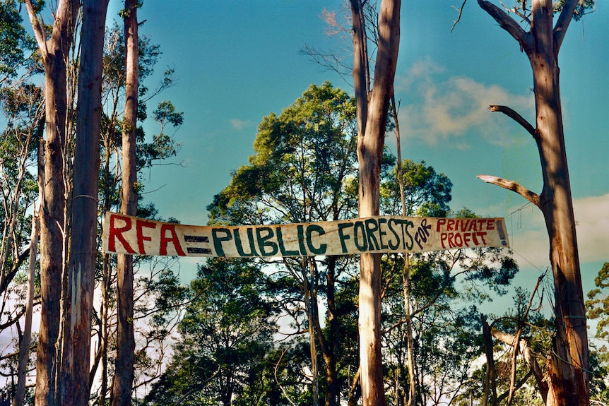 A sign reading RFA= public forests for private profit hangs in the forest.