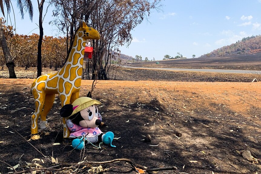 Stuffed animals Mark Taylor placed at the end of his driveway, contrast with blackened land
