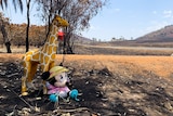 Stuffed animals Mark Taylor placed at the end of his driveway, contrast with blackened land