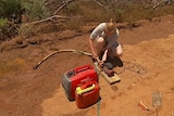 Rescuers work to pump water from wombat burrows