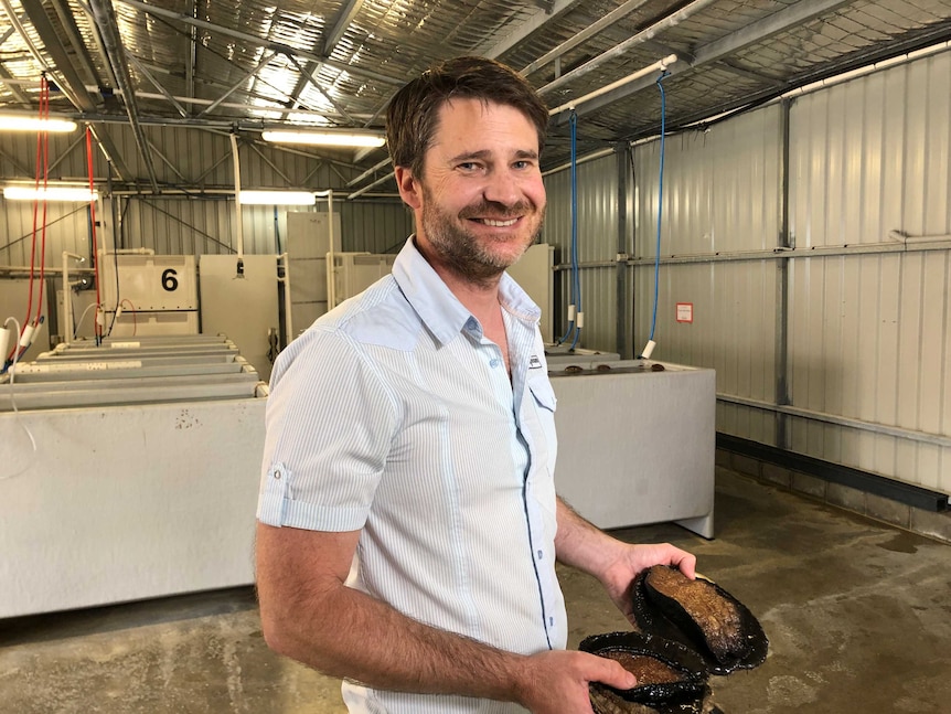 Tasmanian abalone exporter Alex Cuthbertson holding one of his products.