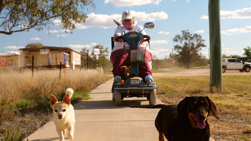 A woman in a mobility scooter with two dogs in front of her