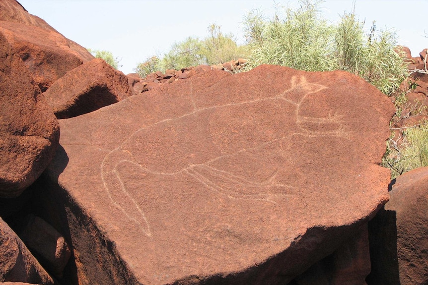 A large engraving of a kangaroo on a red boulder.