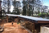 The Earthship rises: The building takes shape at Kinglake, one of the worst-hit areas in the black Saturday fires