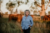 A middle aged woman with blonde hair and a blue collared shirt stands in a field with cattle in the background.