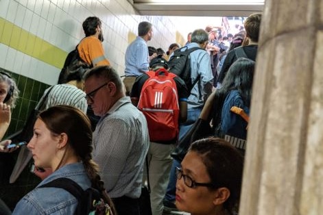 A large crowd stands on stairs