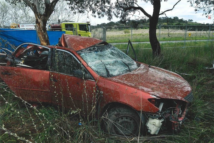 A red Toyota Camry with a smashed windscreen, whose back has crashed into a tree and crumpled around it.