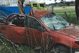 A red Toyota Camry with a smashed windscreen, whose back has crashed into a tree and crumpled around it.