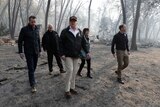 five people walk through burnt forest