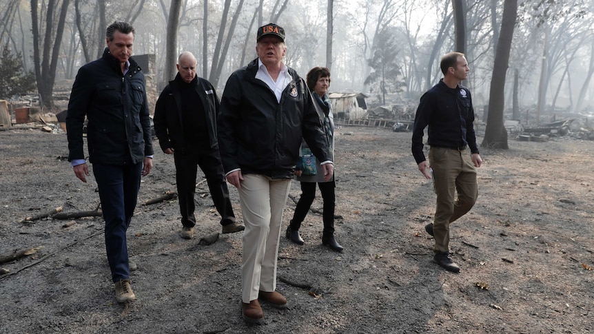 five people walk through burnt forest