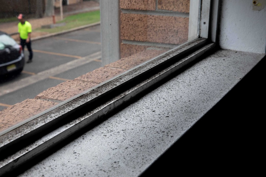 Window covered in mould