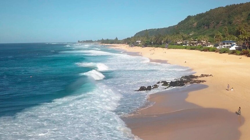 Five things you didn't know about the North Shore, Oahu