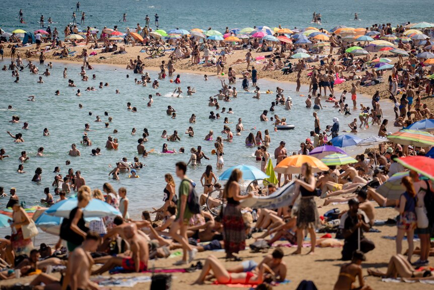 Crowds of people sit on the beach or cool off in the water on a hot day.