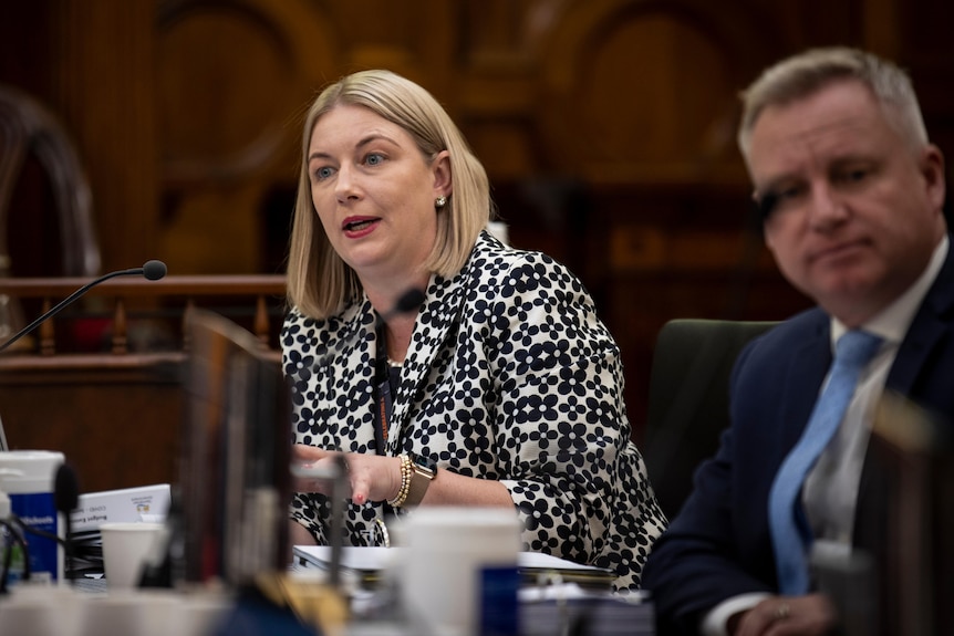 A woman and a man sit in a government committee room.