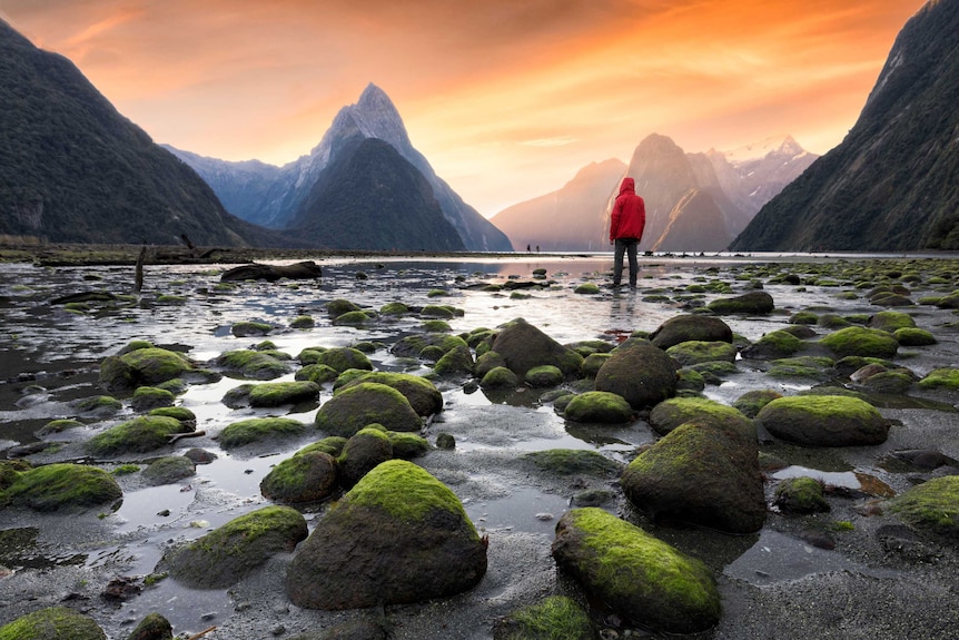 Wide shot of a man standing in a fiord looking into the distance at Milford Sound in New Zealand.